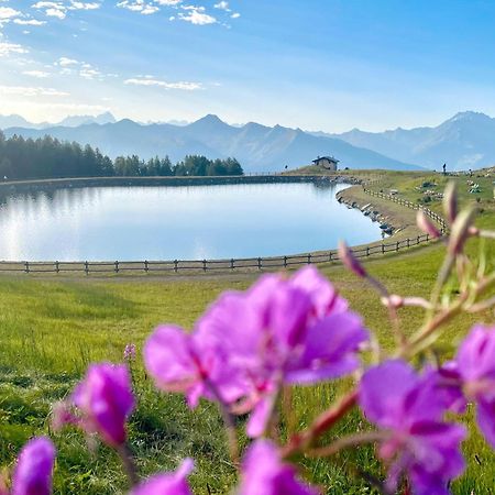 Alpine Dream House - Chalet Gressan Exterior foto